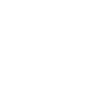 LaSoL Global